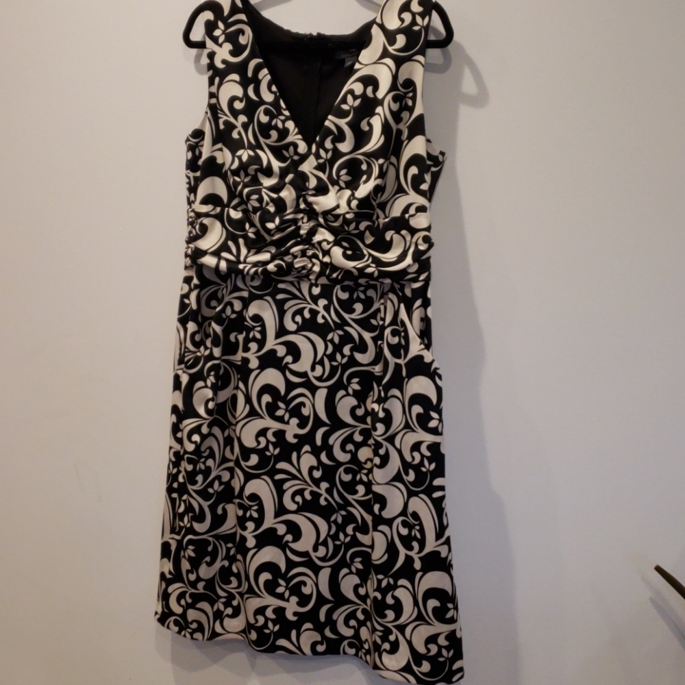 Dressbarn woman collection